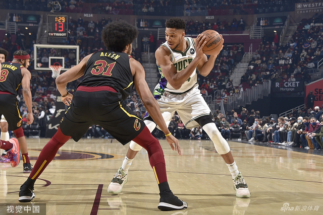 养杨瀚森的 养杨瀚森的